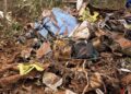 Avião encontrado em área de mata em Campo Grande estava regular e era de táxi aéreo Avião encontrado em área de mata em Campo Grande estava regular e era de táxi aéreo