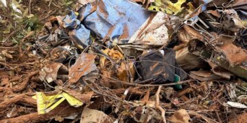 Avião encontrado em área de mata em Campo Grande estava regular e era de táxi aéreo