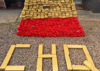 Depósito de droga em casa é descoberto e termina com quase 500 kg de maconha apreendidos Depósito de droga em casa é descoberto e termina com quase 500 kg de maconha apreendidos