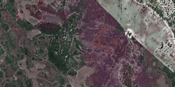 Desmatamento irregular em fazenda de Corumbá gera acordo de R$ 125 mil para recuperação ambiental