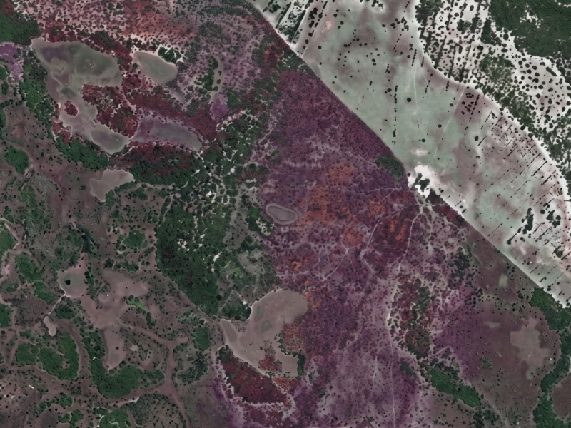 Desmatamento irregular em fazenda de Corumbá gera acordo de R$ 125 mil para recuperação ambiental