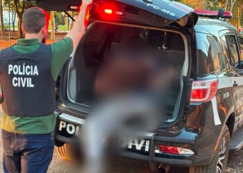 Homem é preso por explorar sexualmente crianças Homem é preso por explorar sexualmente crianças