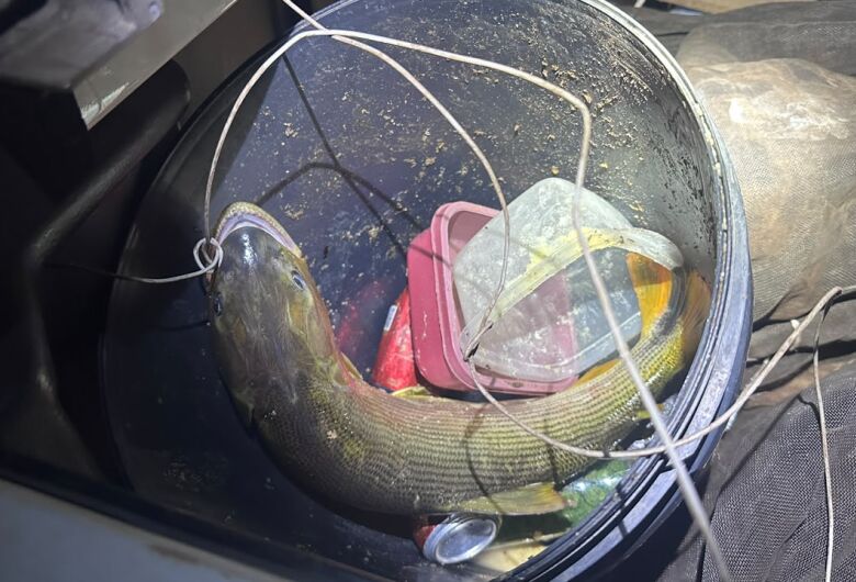 Pescador é autuado por capturar dourado e acaba levado à delegacia em MS