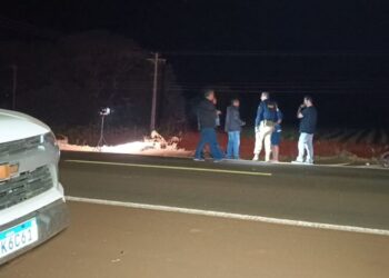 Jovem de 18 anos morre após ser atingido por caminhonete na BR-376 Jovem de 18 anos morre após ser atingido por caminhonete na BR-376