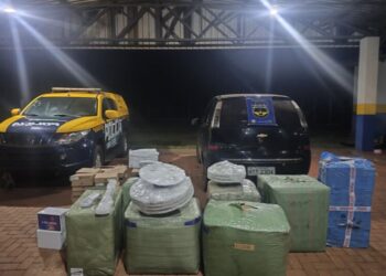 Carga ilegal é apreendida na MS-162 durante fiscalização policial