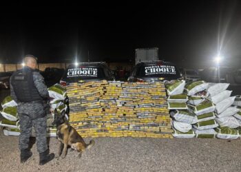 Bunker do tráfico é descoberto e Choque retira mais de uma tonelada de droga de circulação em Campo Grande