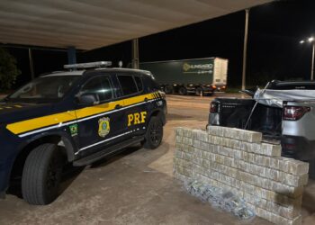 PRF apreende mais de 300 quilos de drogas escondidas em carga na BR-262