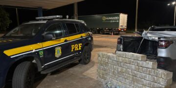 PRF apreende mais de 300 quilos de drogas escondidas em carga na BR-262