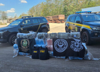 Caminhão com minério é flagrado com mais de 430 kg de drogas na BR-262 Caminhão com minério é flagrado com mais de 430 kg de drogas na BR-262