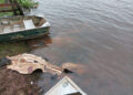 Operação no Pantanal desarticula grupo suspeito de crimes rurais e ambientais