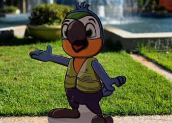 Vote no nome do mascote da Agetran