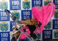 Com suspeita de embriaguez, mãe derruba bebê no chão e acaba presa