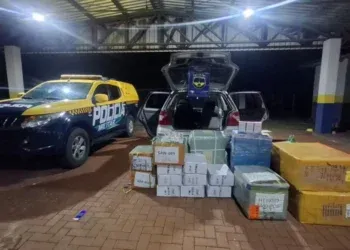Rota do contrabando: fiscalização intercepta carga irregular avaliada em R$ 35 mil na MS-162