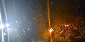 Família é resgatada após árvore esmagar carro em temporal na Capital