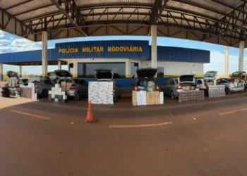 Fuga termina em prejuízo milionário para contrabando após apreensão de oito veículos em MS Fuga termina em prejuízo milionário para contrabando após apreensão de oito veículos em MS