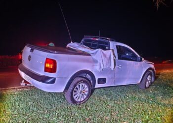 Pedestre e cachorro morrem após atropelamento na MS-156 Pedestre e cachorro morrem após atropelamento na MS-156