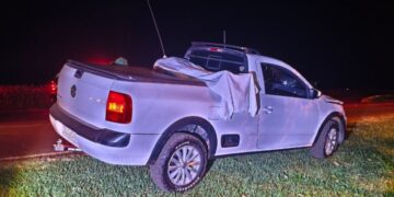 Pedestre e cachorro morrem após atropelamento na MS-156
