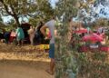 Casal escapa com vida de acidente grave após carro bater em árvore Casal escapa com vida de acidente grave após carro bater em árvore