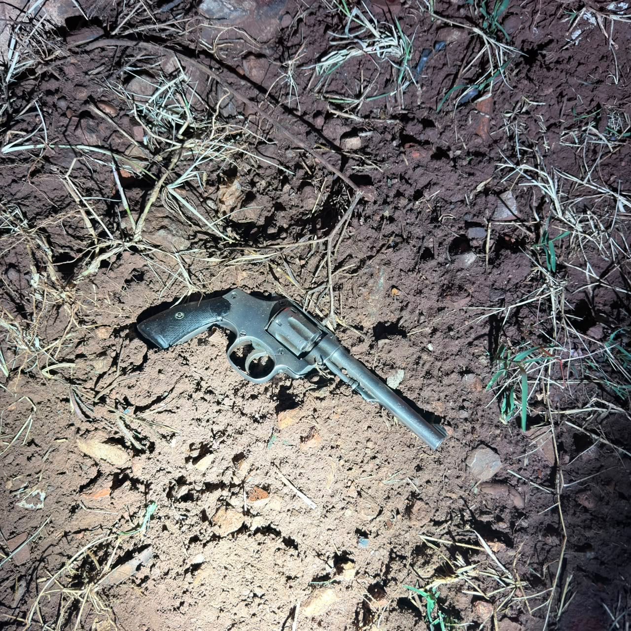 Capivara extensa: homem enfrenta  PMs do Choque e sai perdendo