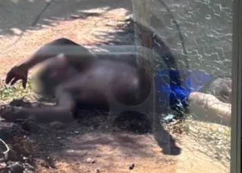 Homem é baleado várias vezes e fica em estado gravíssimo