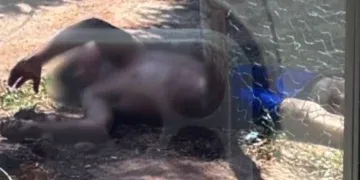 Homem é baleado várias vezes e fica em estado gravíssimo