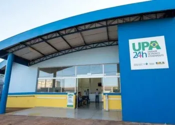 Criança de 8 anos é atacada por pit bull e tutor acaba preso Criança de 8 anos é atacada por pit bull e tutor acaba preso