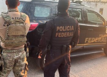 PF mira esquema que usava documentos falsos para encobrir desmatamento PF mira esquema que usava documentos falsos para encobrir desmatamento