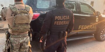 PF mira esquema que usava documentos falsos para encobrir desmatamento
