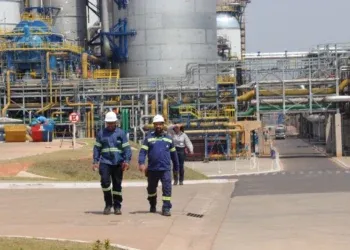 MS cria mais de 19 mil empregos formais no ano; construção lidera contratações em julho MS cria mais de 19 mil empregos formais no ano; construção lidera contratações em julho