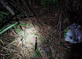 Suspeito de roubo morre após confronto com policiais em área de mata