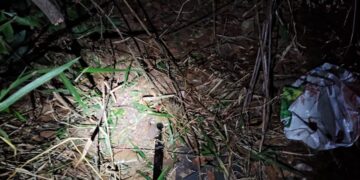Suspeito de roubo morre após confronto com policiais em área de mata
