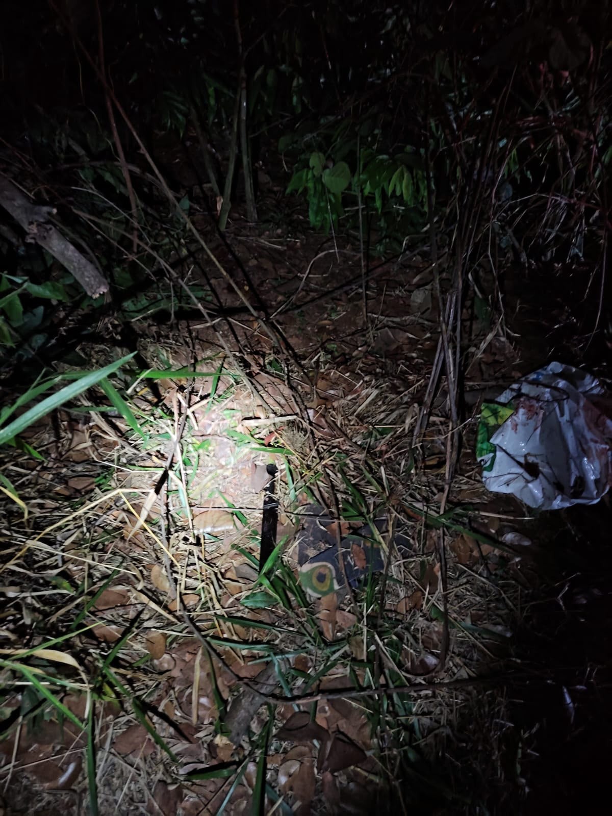Suspeito de roubo morre após confronto com policiais em área de mata
