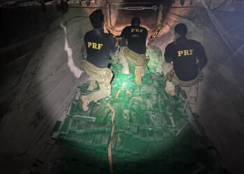 Quase 3,5 toneladas de drogas são apreendidas em caminhões na BR-262 Quase 3,5 toneladas de drogas são apreendidas em caminhões na BR-262