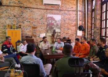 Brasil e Bolívia reforçam ação conjunta contra incêndios no Pantanal