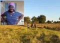 Buscas por idosa desaparecida terminam com corpo encontrado