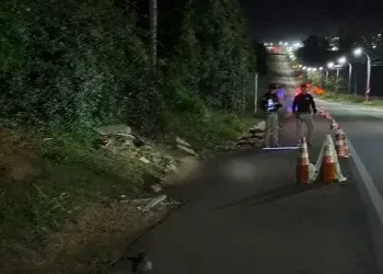 Homem morre após ser atingido por carreta na BR-262 Homem morre após ser atingido por carreta na BR-262
