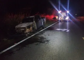Motorista percebe fumaça, tira S10 da pista e caminhonete pega fogo na MS-276 Motorista percebe fumaça, tira S10 da pista e caminhonete pega fogo na MS-276