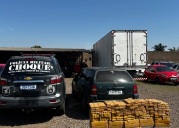 Mulher é presa com carga de maconha avaliada em R$ 836 mil em Campo Grande Mulher é presa com carga de maconha avaliada em R$ 836 mil em Campo Grande