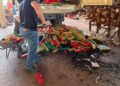 Mais de 12 toneladas de drogas são destruídas em incineração em Campo Grande Mais de 12 toneladas de drogas são destruídas em incineração em Campo Grande