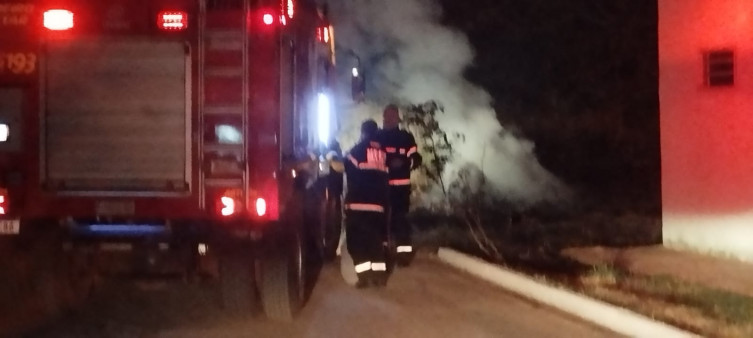 Fogo em vegetação se espalha com vento e mobiliza bombeiros