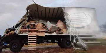 Caminhoneiro morre após perder controle e bater em árvore na BR-267