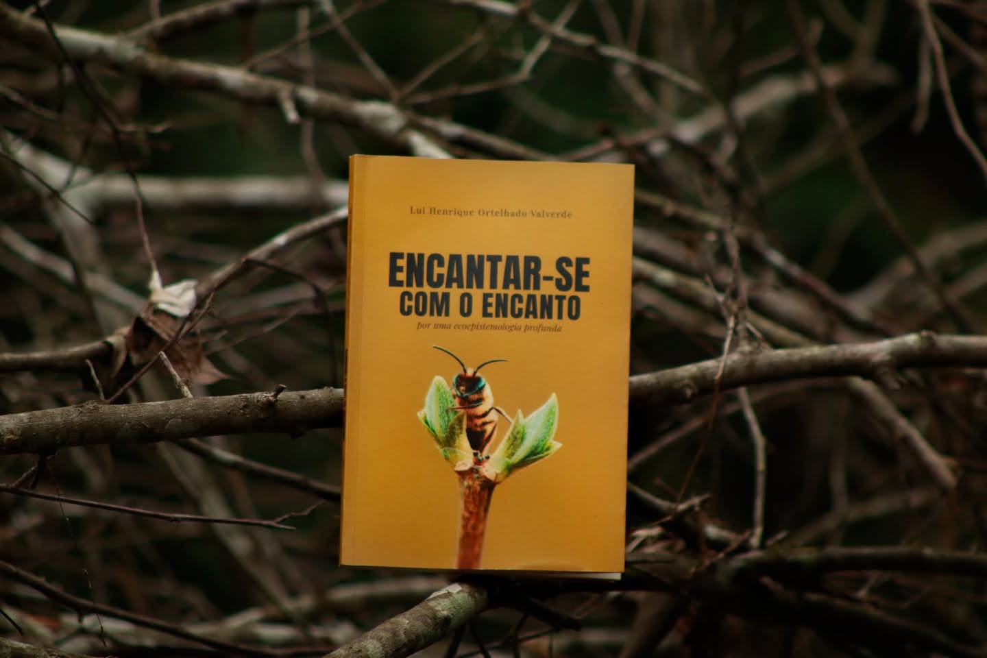 Livro sobre sociedade e natureza será lançado nesta terça