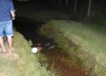 Jovem é cercado por atiradores e executado durante passeio em parque Jovem é cercado por atiradores e executado durante passeio em parque