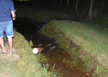 Jovem é cercado por atiradores e executado durante passeio em parque Jovem é cercado por atiradores e executado durante passeio em parque