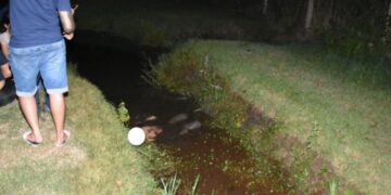 Jovem é cercado por atiradores e executado durante passeio em parque