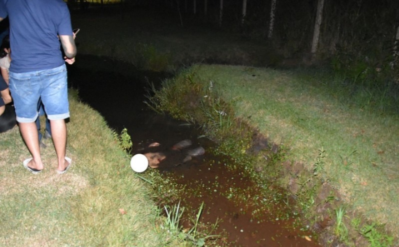 Jovem é cercado por atiradores e executado durante passeio em parque