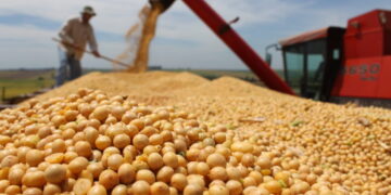 Soja lidera exportações de MS e vendas ao exterior passam de US$ 7 bilhões