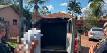 Homem é preso após usar marreta para quebrar portas e janelas durante ataque à companheira