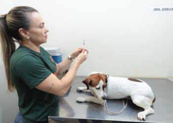 Consultório Móvel atende pets nesta segunda Consultório Móvel atende pets nesta segunda