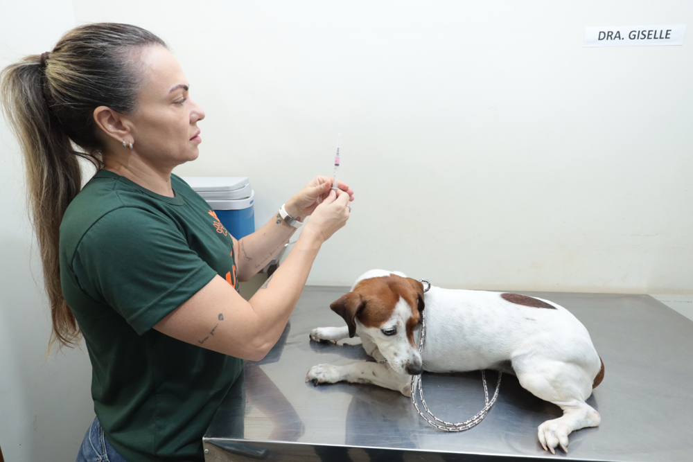 Consultório Móvel atende pets nesta segunda